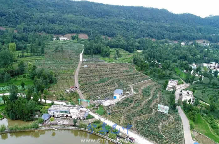 南江县八庙镇普照寺村