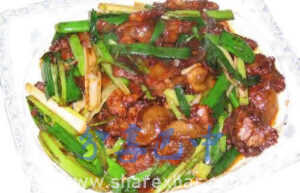 恩阳斗篷肉