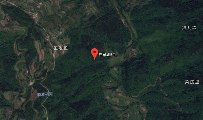 陈河乡白草池村