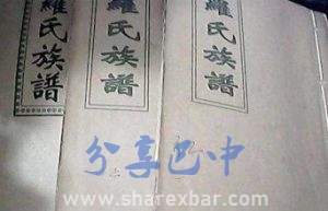 罗氏族谱