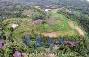 鸟瞰龙门村