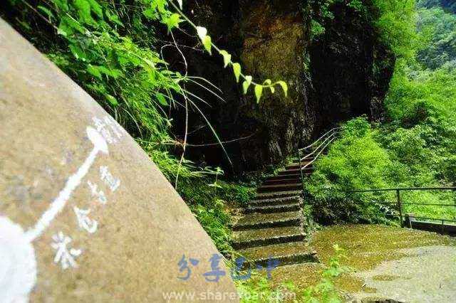 古道上的背二哥