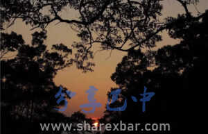 五峰林场(白家坟森林公园):狮岭夕照