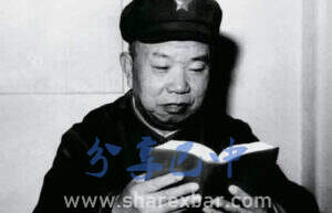 王树声