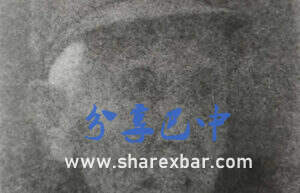 老红军王奉文