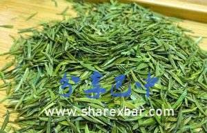 南江大叶茶