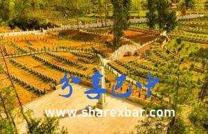 黄树坪红军烈士陵园