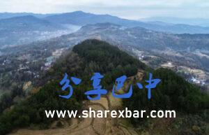 金子山全景