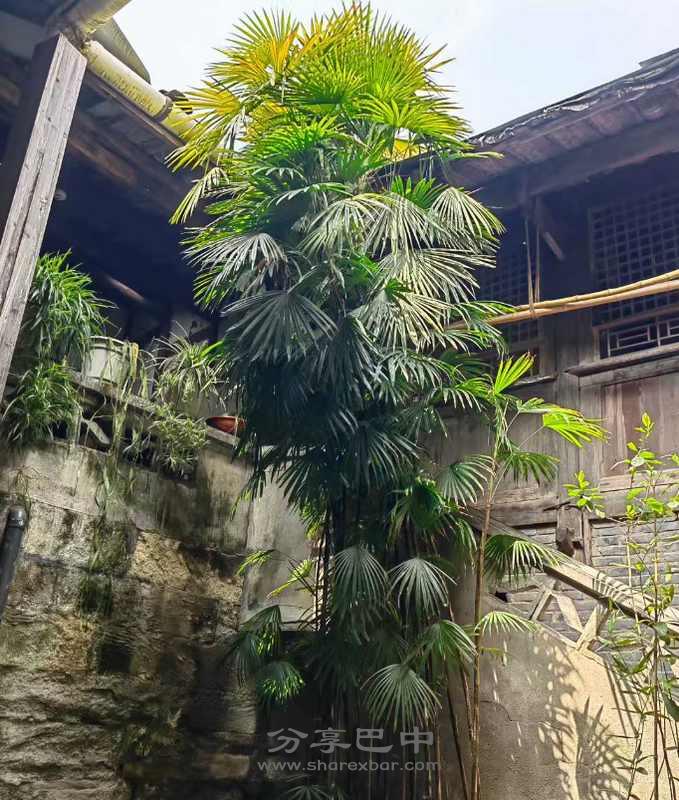恩阳县革命法庭旧址