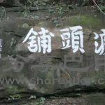 渡头浦