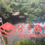米仓古道柳树桥石板桥残存的桥板