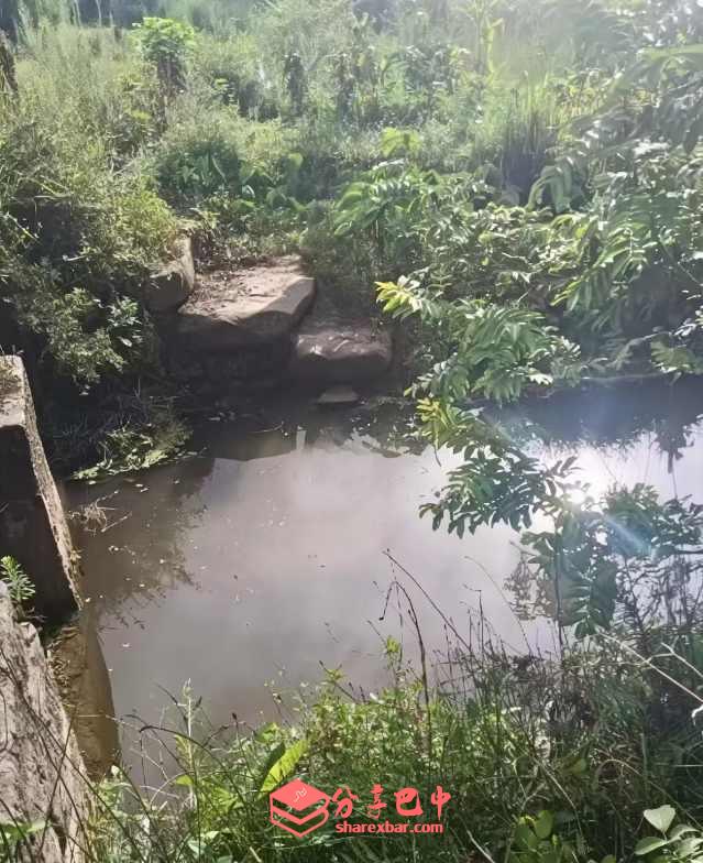 米仓古道柳树桥石板桥残存的桥板