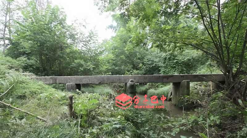 杨柏河桥(后河桥)