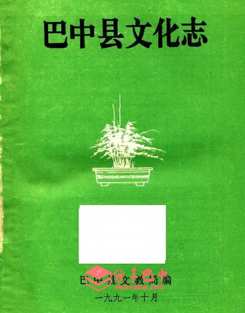 《巴中县文化志》