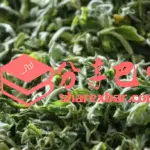 平昌青芽茶制作技艺