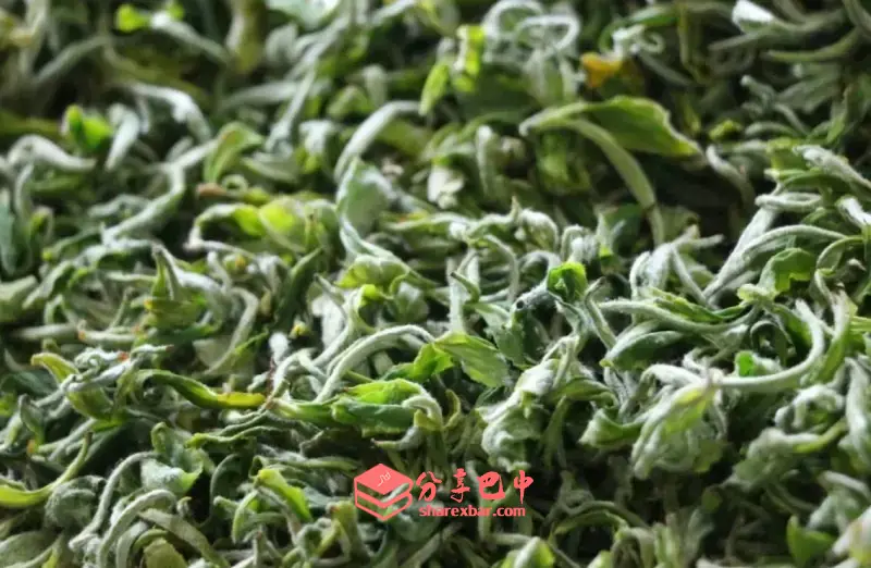 平昌青芽茶制作技艺