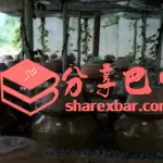 坛姥姥泡菜制作技艺