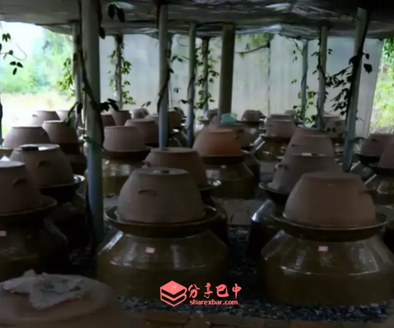 坛姥姥泡菜制作技艺