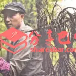 巴中非遗：藤编技艺