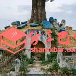 明代谢状元墓(模拟图)