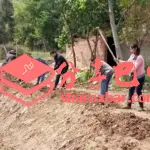 第一书记带领大家发展本村产业