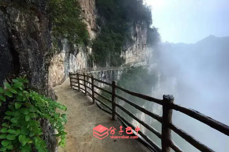 大坝林场一角