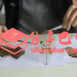 巴中非遗：叶雕（叶脉画）