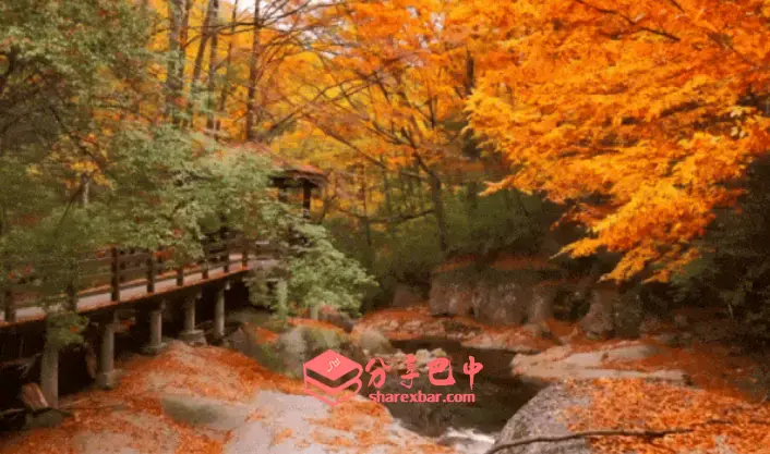 红色遗址：赵明恩牺牲地（十八月潭）