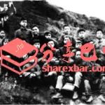 1964年10月知青在平昌县土兴林场合影